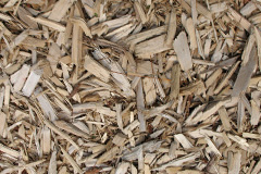 biomass boilers Peas Acre